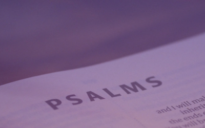 Faith Reflections: Psalm 139:1-18   